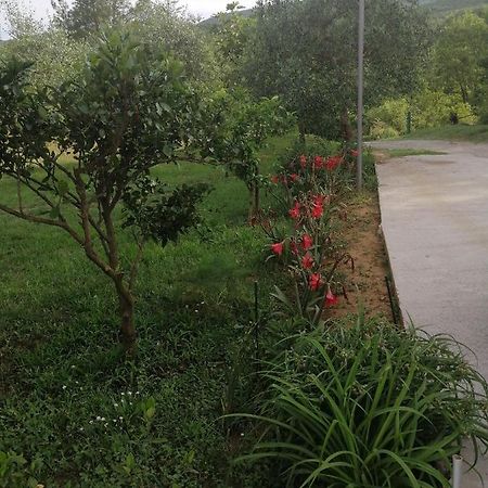 Apartman Petovic Kotor Exterior photo
